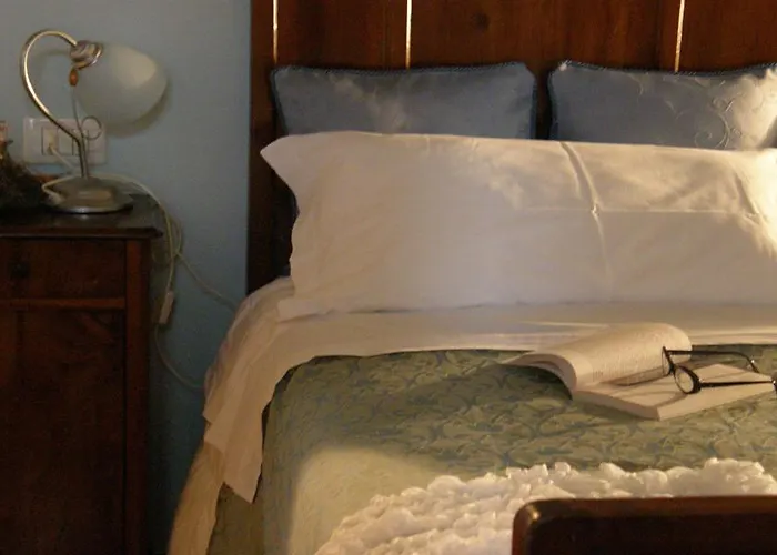 Bosco Del Fracasso Scandiano