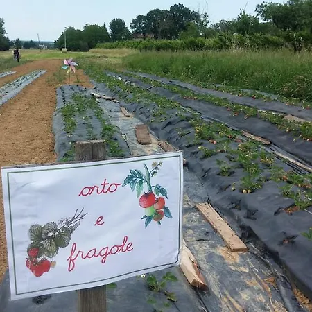 Фермерский дом Bosco Del Fracasso *