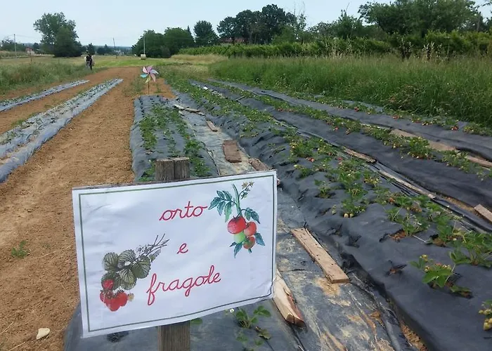 Feriegård Bosco Del Fracasso *